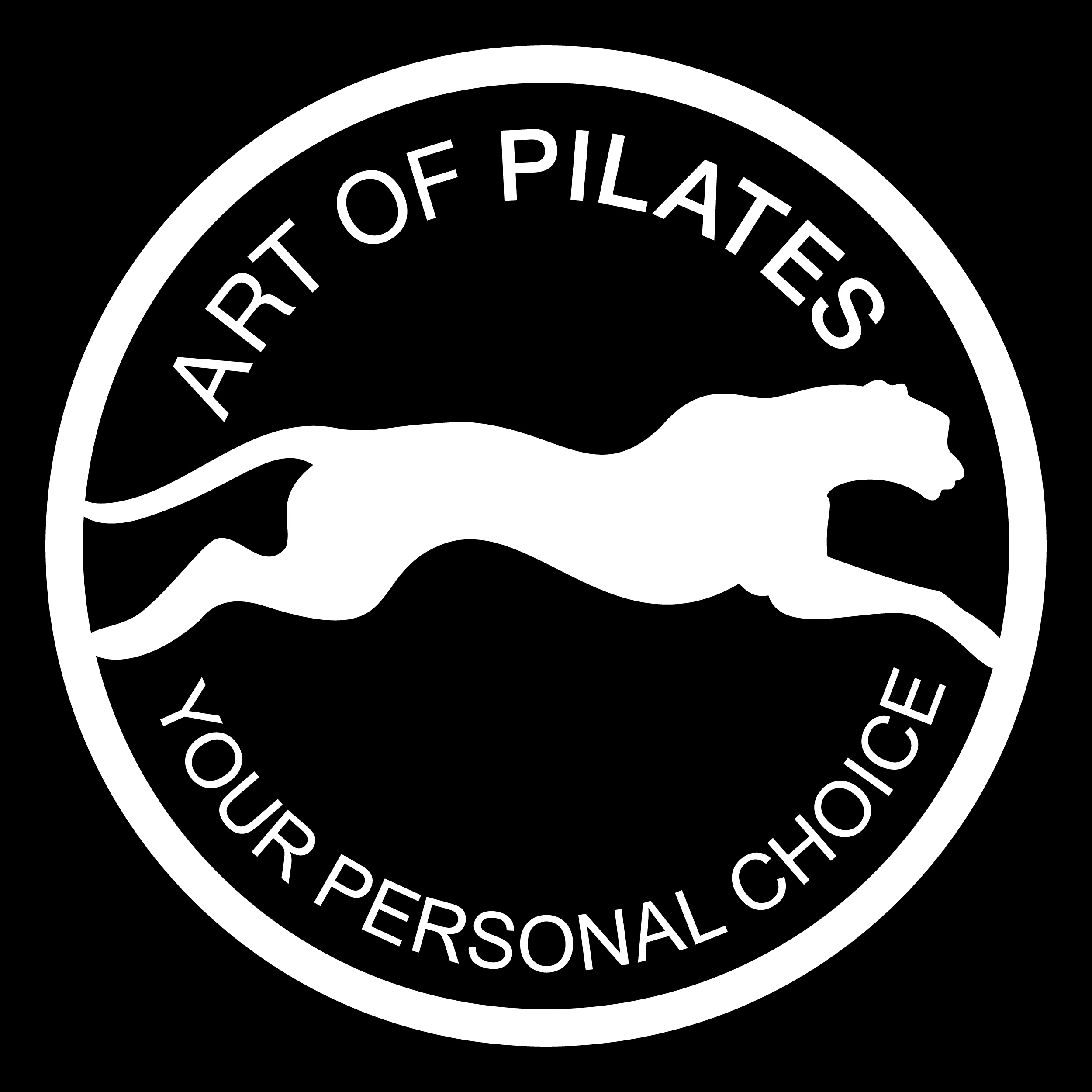 ART OF PILATES